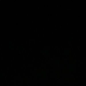 Meet your Posher, Maddie